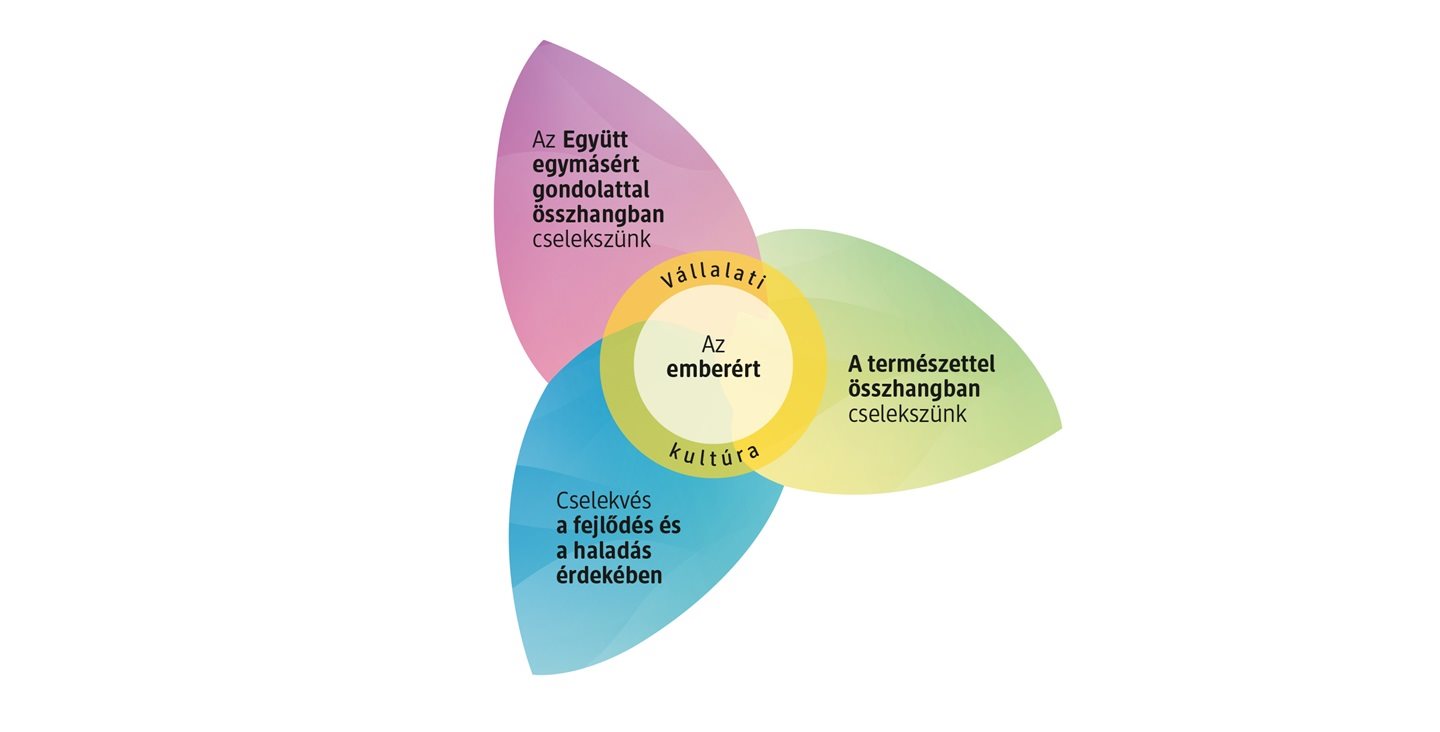A fenntartható cselekvés irányai a dm-nél