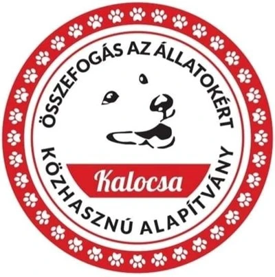 Önkéntesbarát menhely - Közösségi környezetfejlesztés Kalocsán