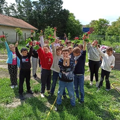 Zöld Kapcsolódások – Oktatókert és önellátási közösségi program Székesfehérváron